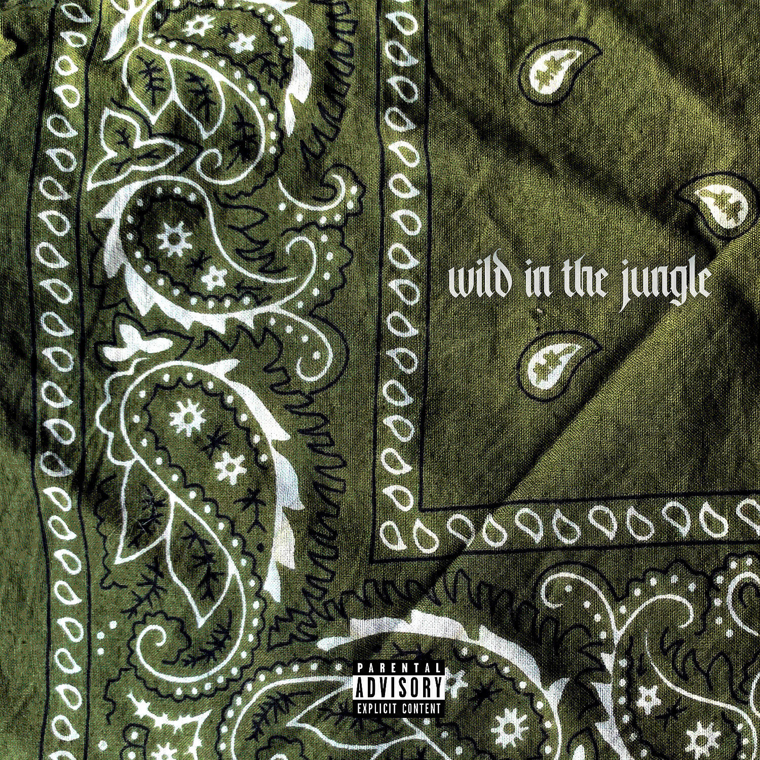 Broadway Dolla - Wild In The Jungle (feat. Loki B)