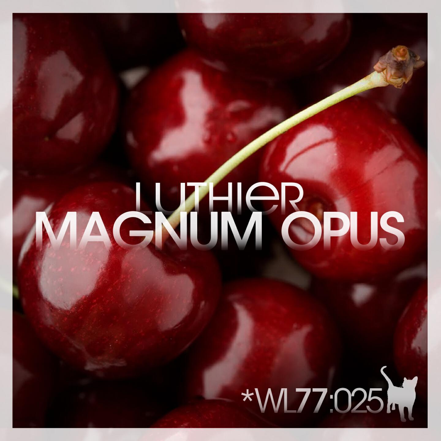 Luthier - Magnum Opus (Crazibiza Remix)