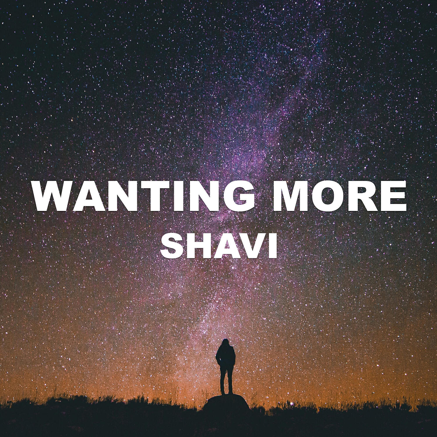 SHAVI - Wanting More