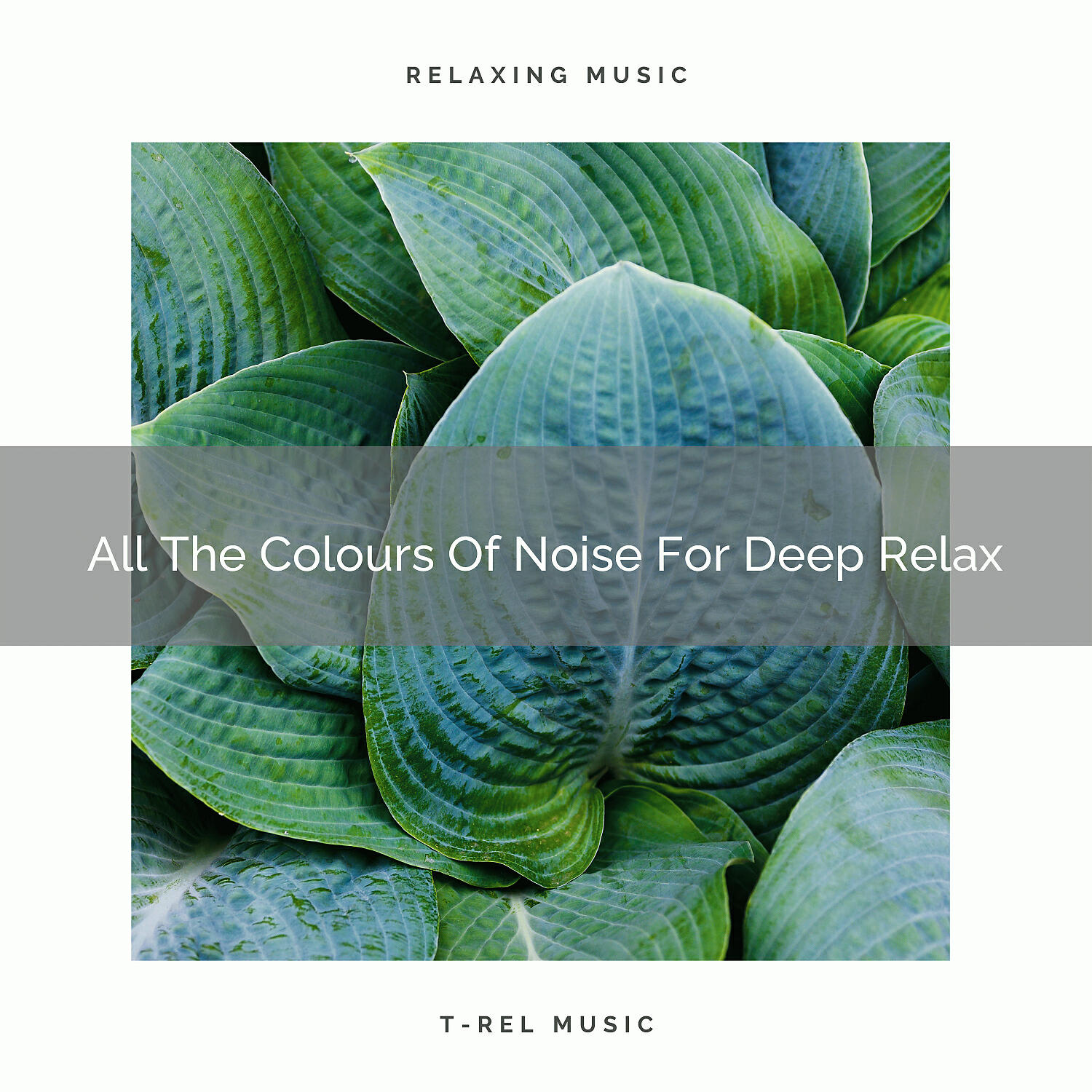 Ambient Nature White Noise - White The Colours Of Noise For Deep Relax