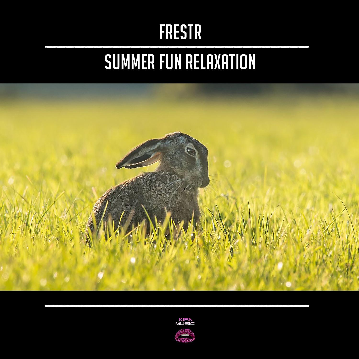 Постер альбома Summer Fun Relaxation