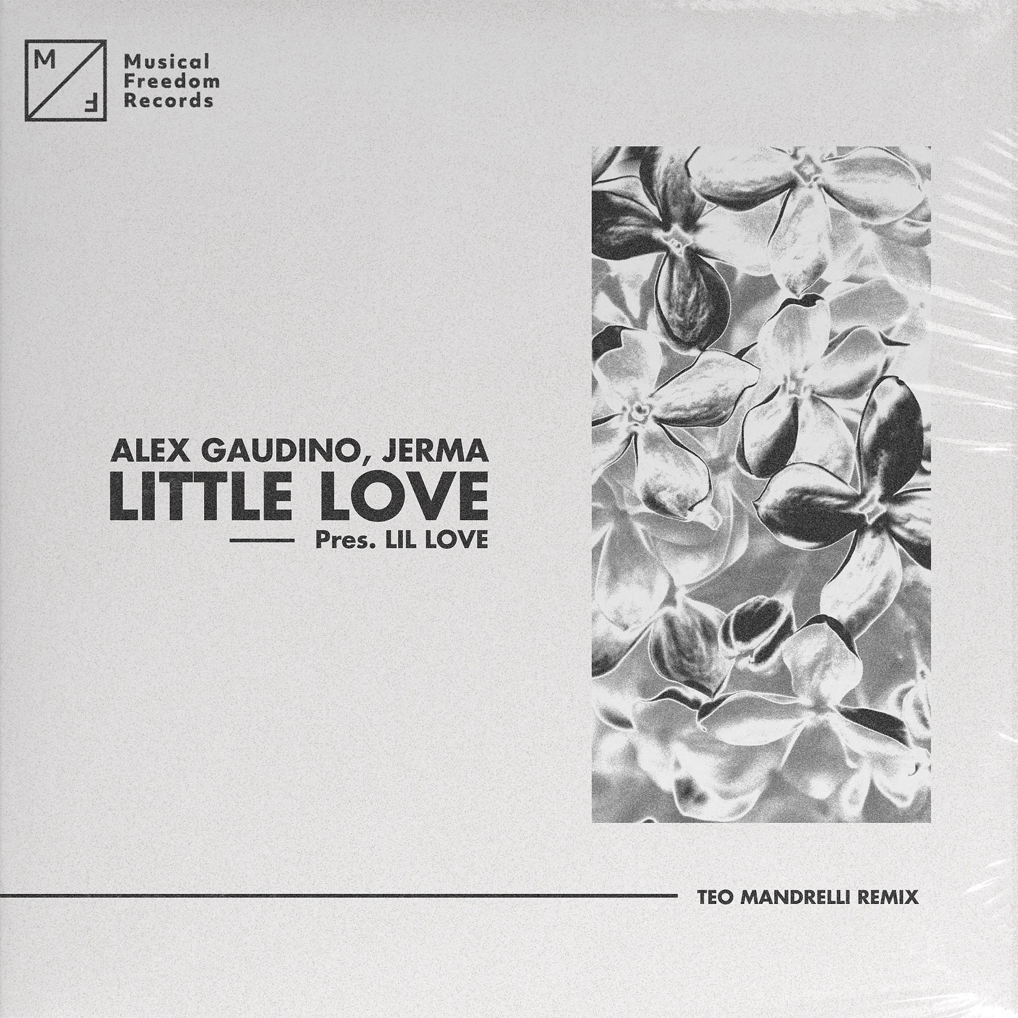 Постер альбома Little Love (pres. Lil' Love) [Teo Mandrelli Remix]