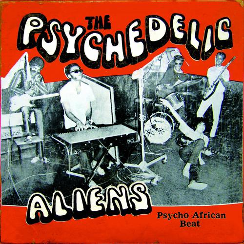 Постер альбома Psycho African Beat
