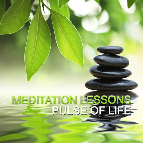 Постер альбома Meditation Lessons - Pulse of Life