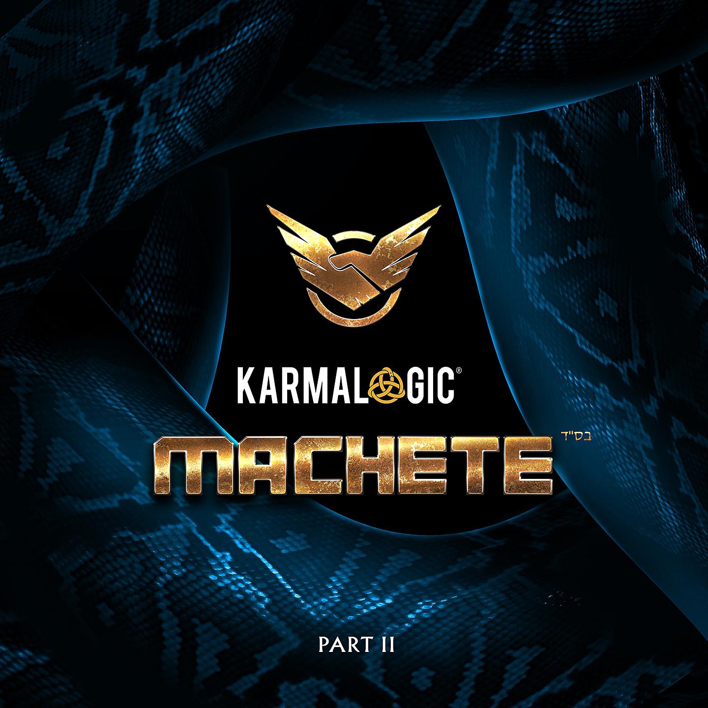 Постер альбома Karmalogic II