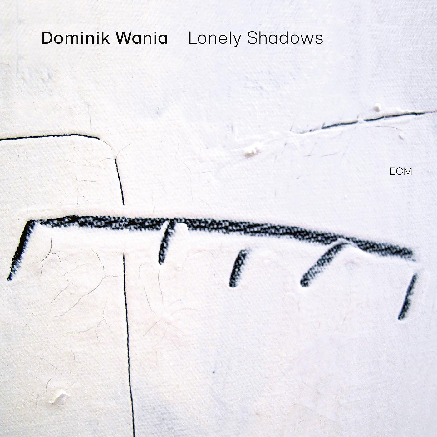 Постер альбома Lonely Shadows