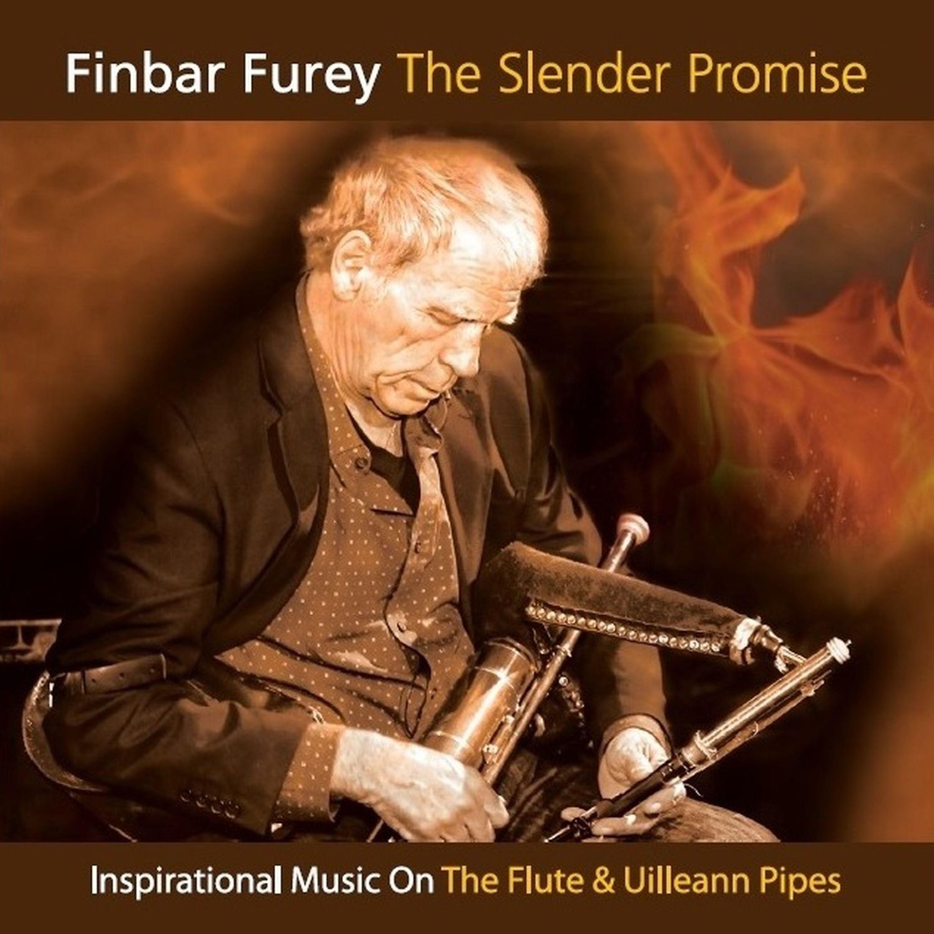 Постер альбома The Slender Promise. Inspirational Music on the Flute & Uilleann Pipes