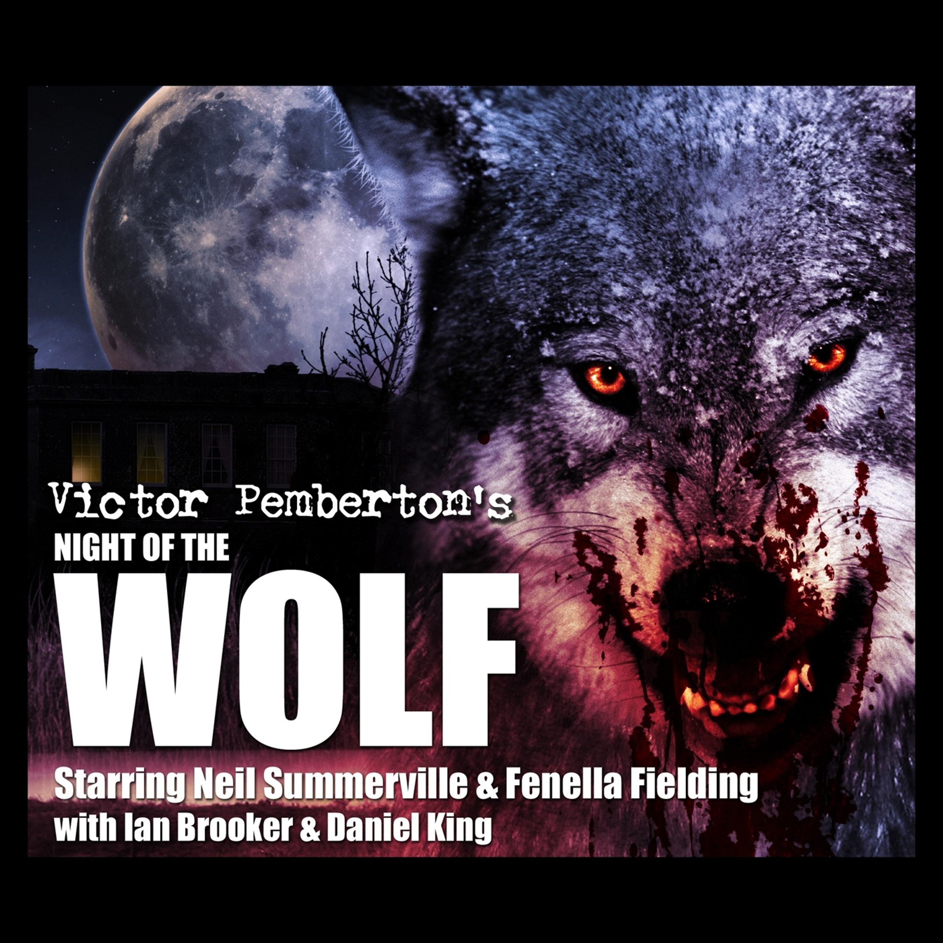 Постер альбома Night Of The Wolf