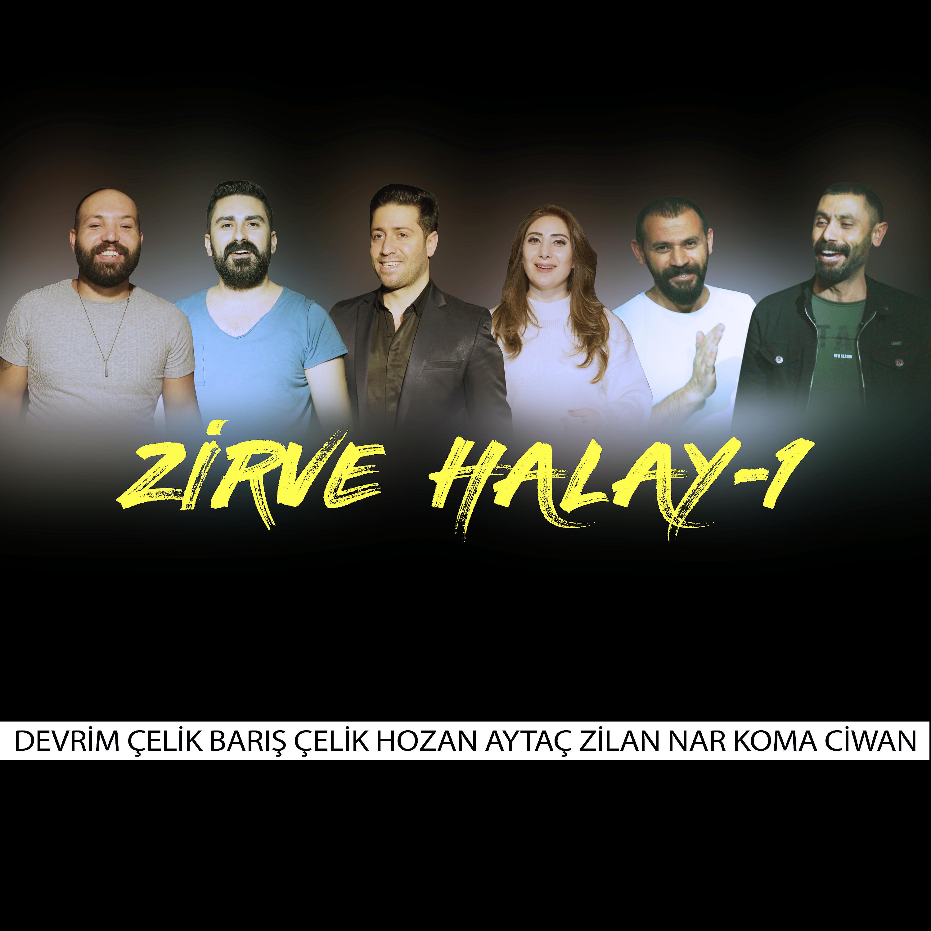 Постер альбома Zirve Halay-1