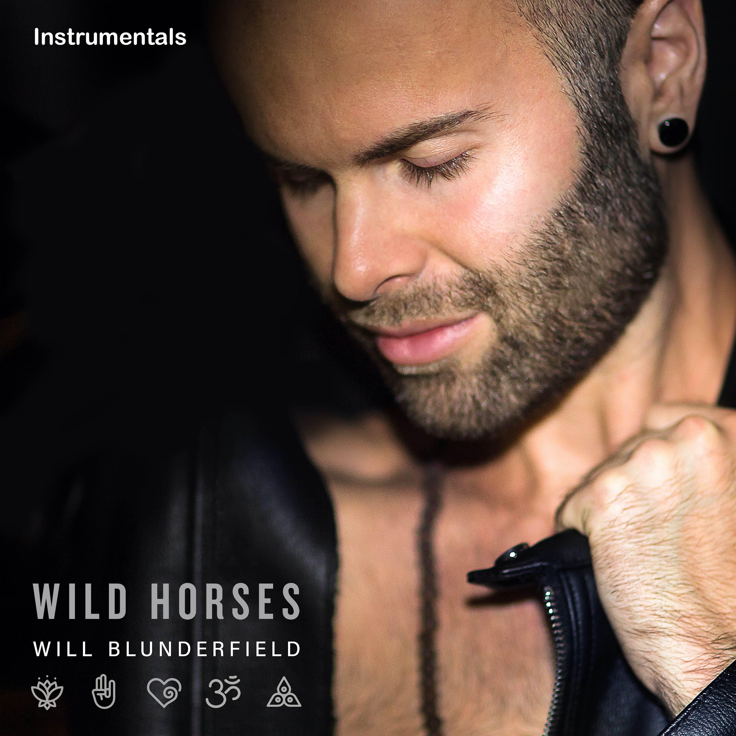 Постер альбома Wild Horses (Instrumentals)