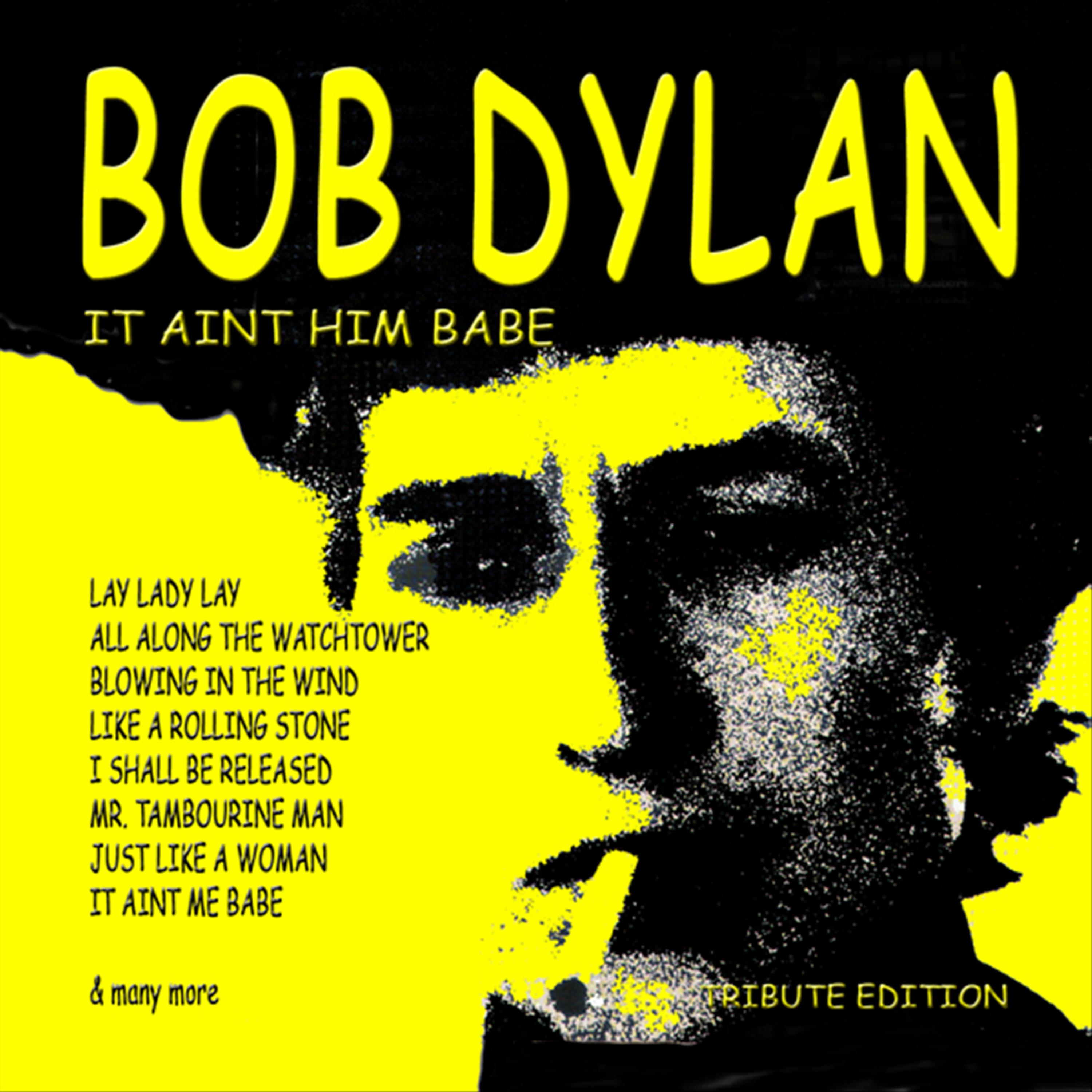 Постер альбома Tribute To: Bob Dylan