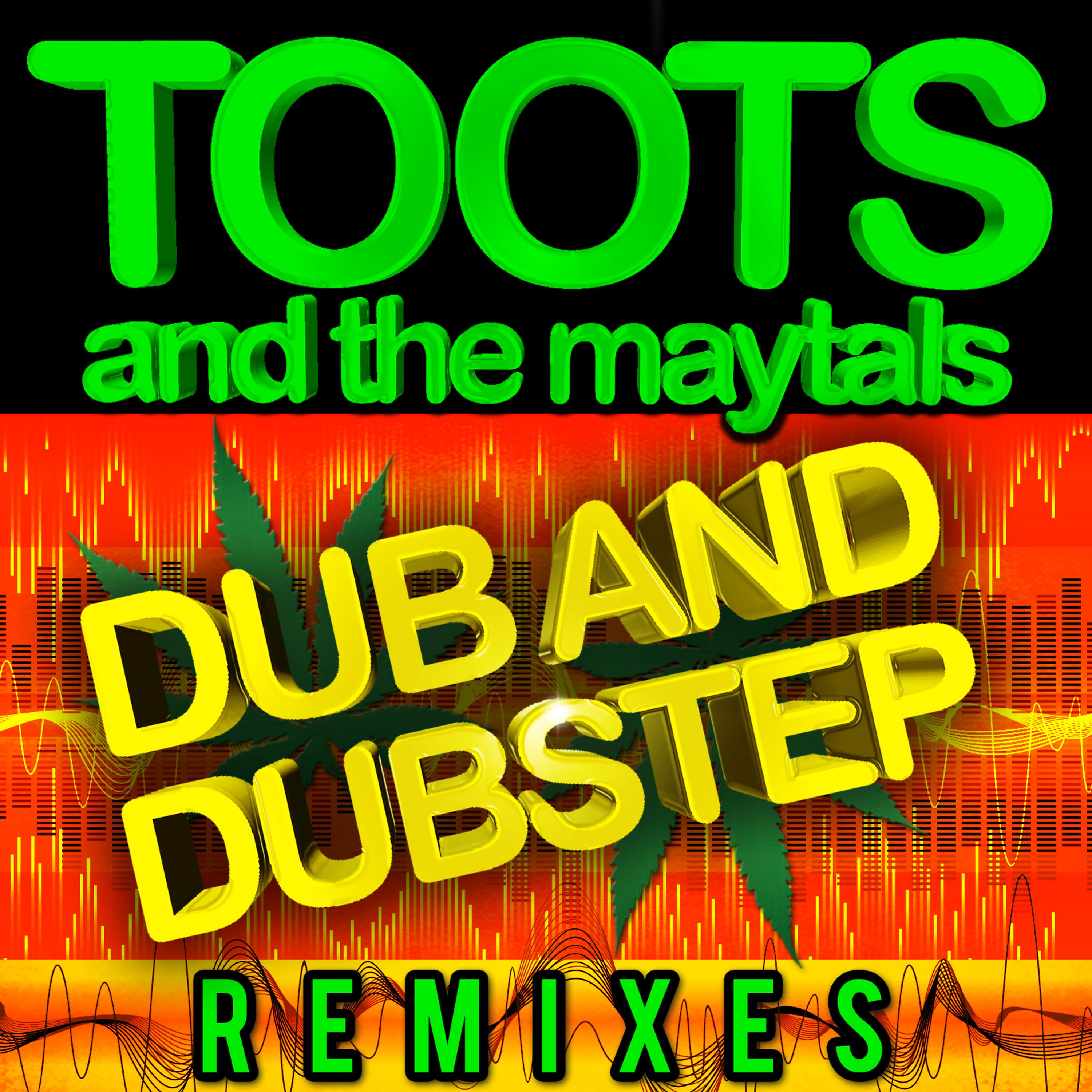 Постер альбома Dub and Dustep Remixes