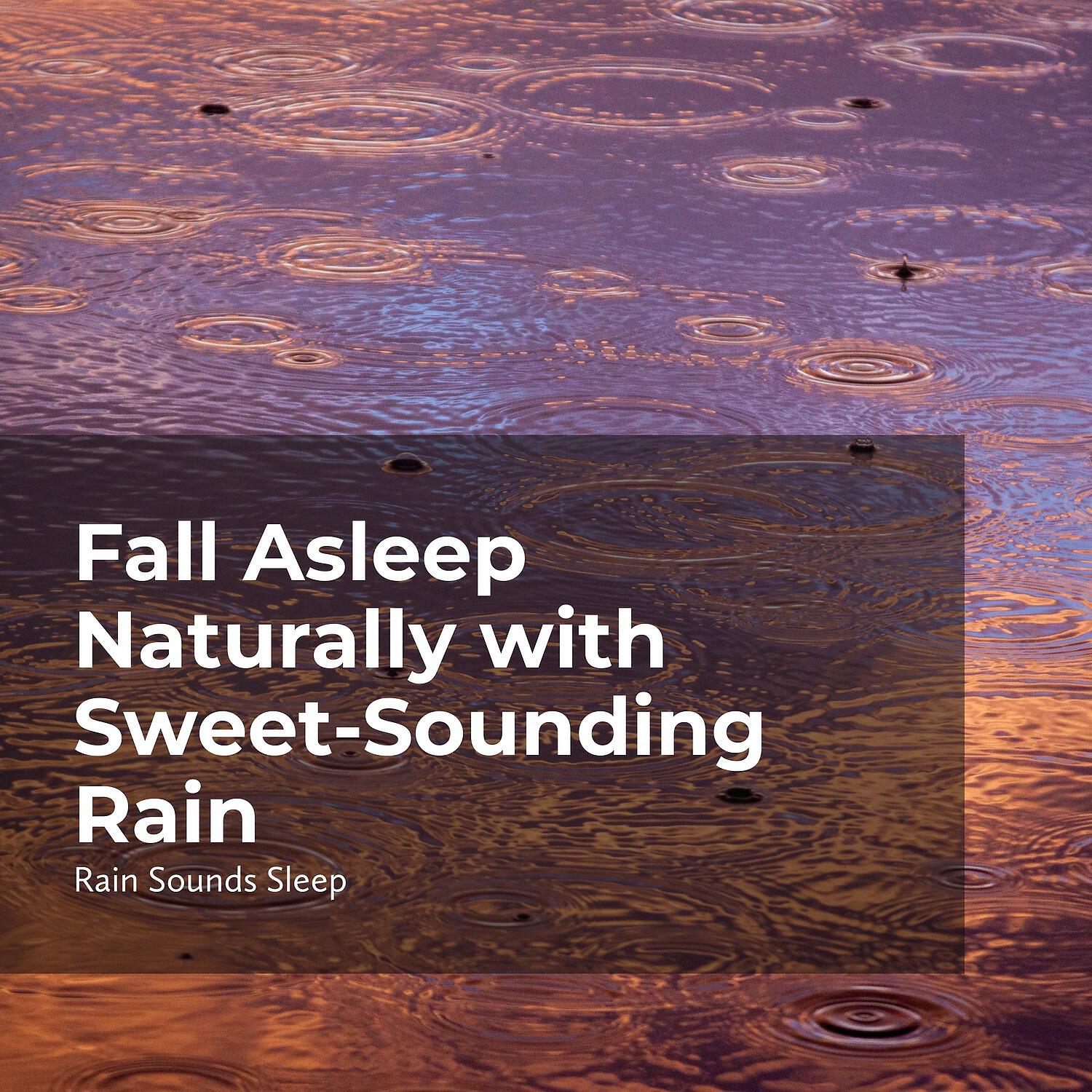 Rain Sounds Sleep - Pleasant Rain Rhythm