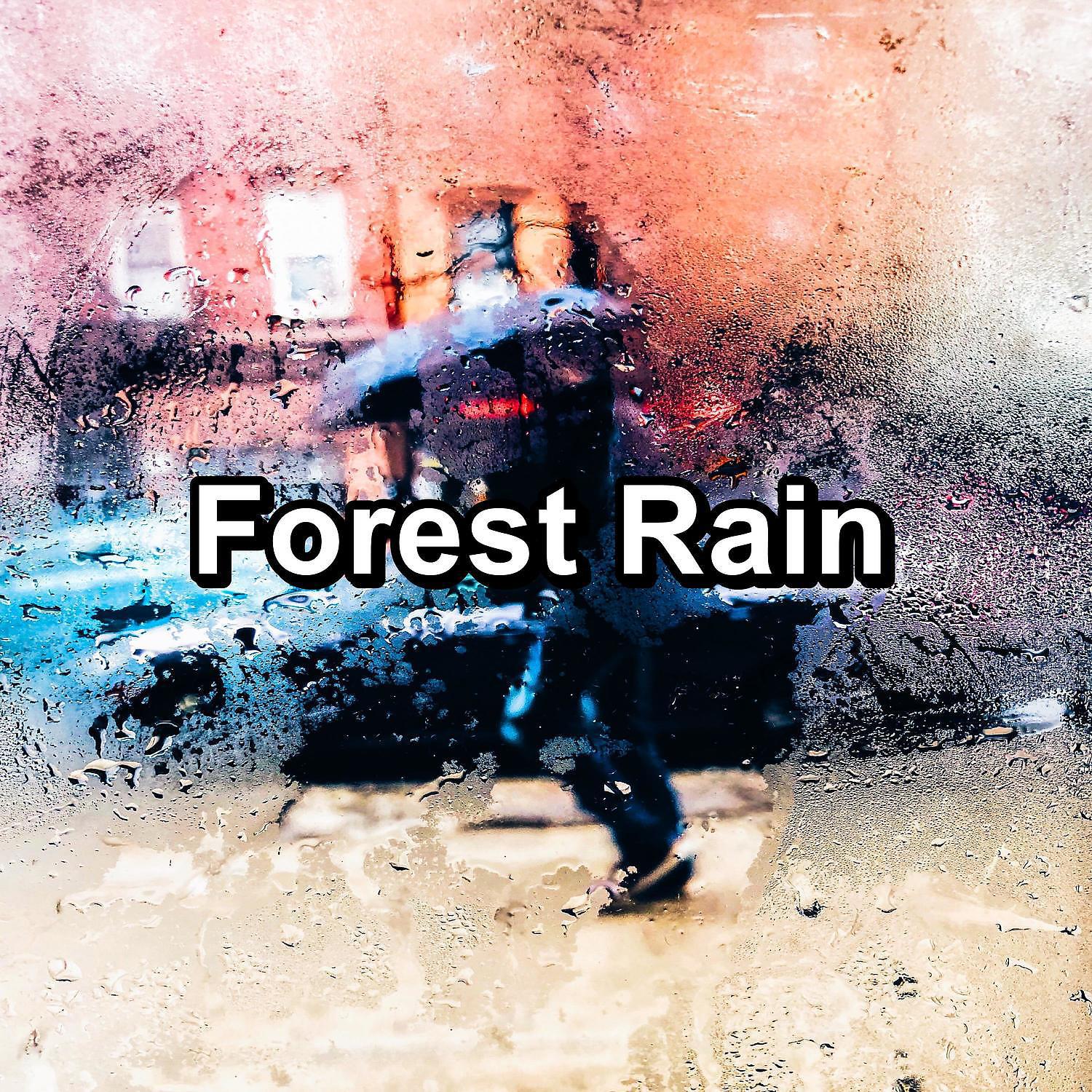 Постер альбома Forest Rain