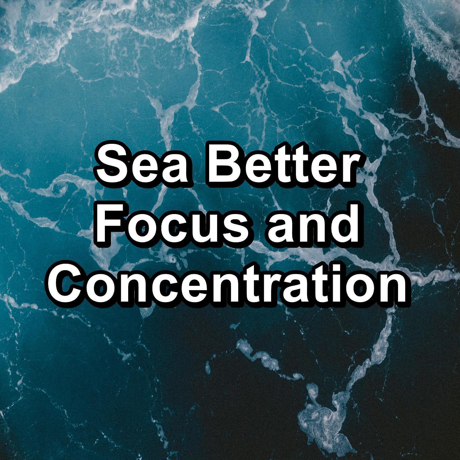 Ocean Sounds Spa - Cool Ocean Waves Ocean Lullaby New Age Music