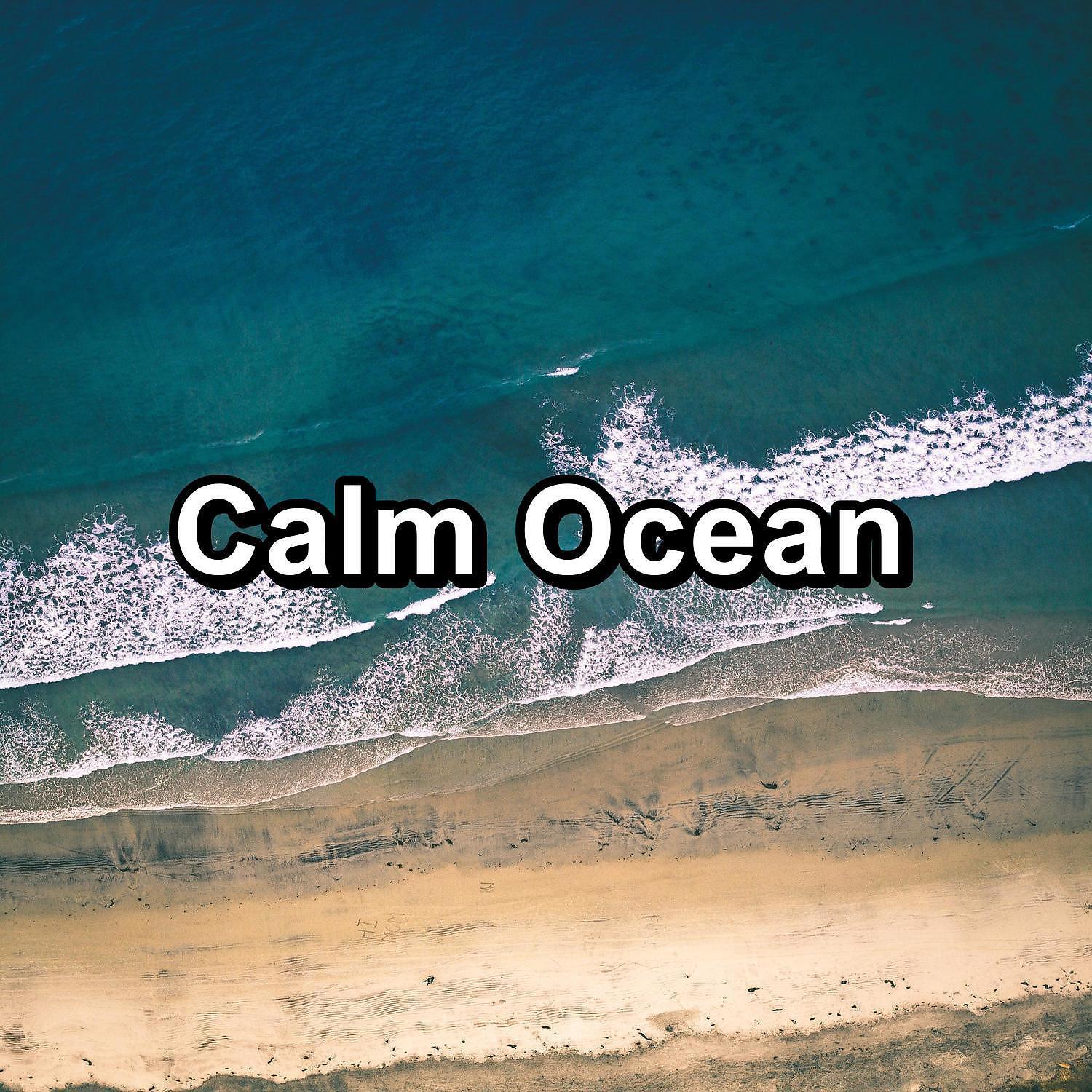 Water Soundscapes - A Sunny Dat at Sea Shore