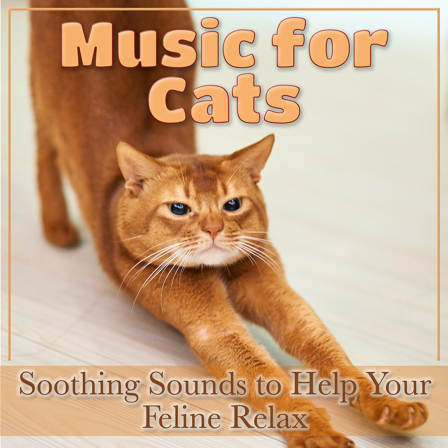 RelaxMyCat - Lazy Paws