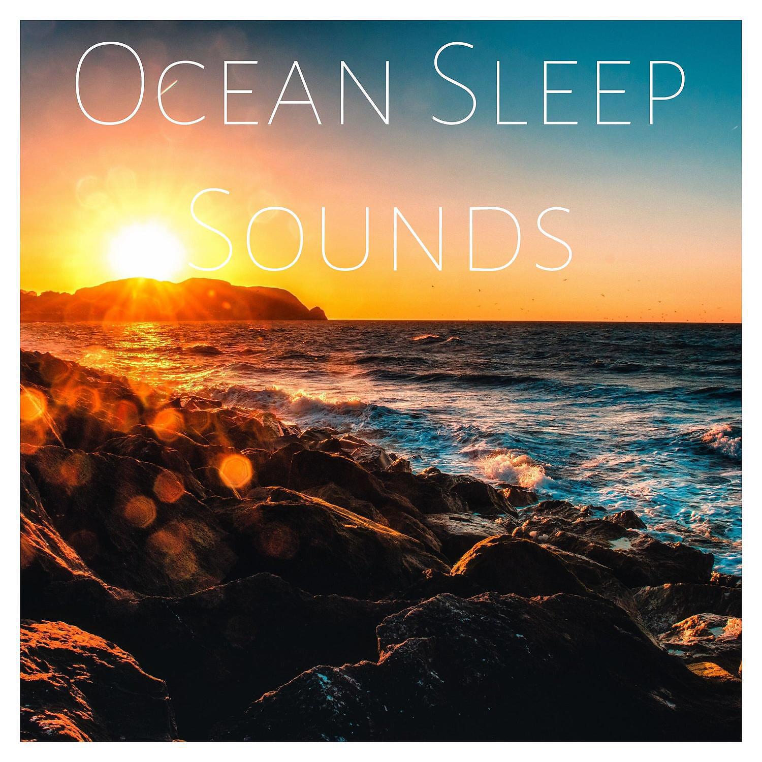 Nature Sounds - Raw Forest Sound: Birds Sleep Sound