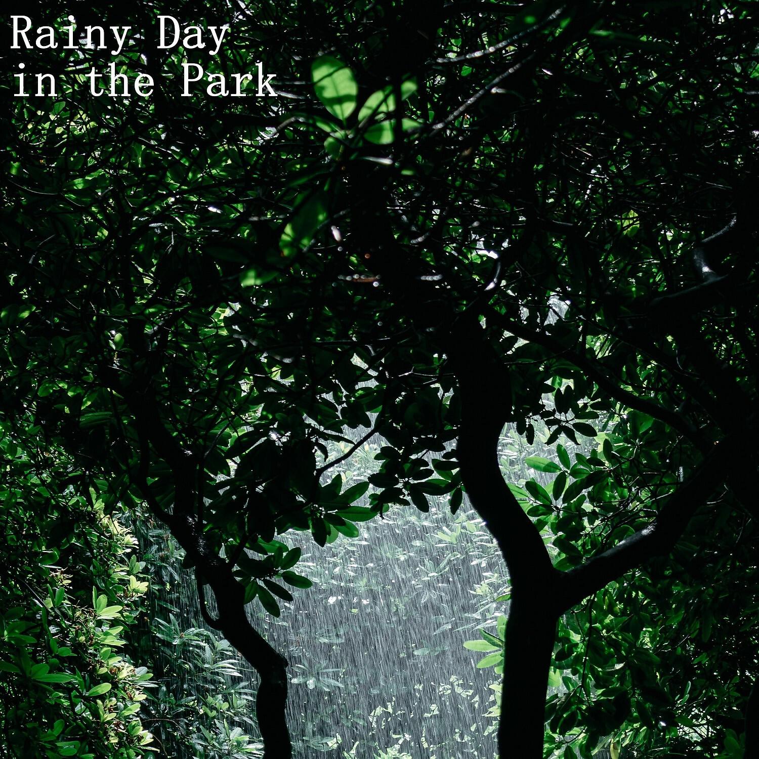 Rain Sounds & Nature Sounds - Happy Bird Song after Rain