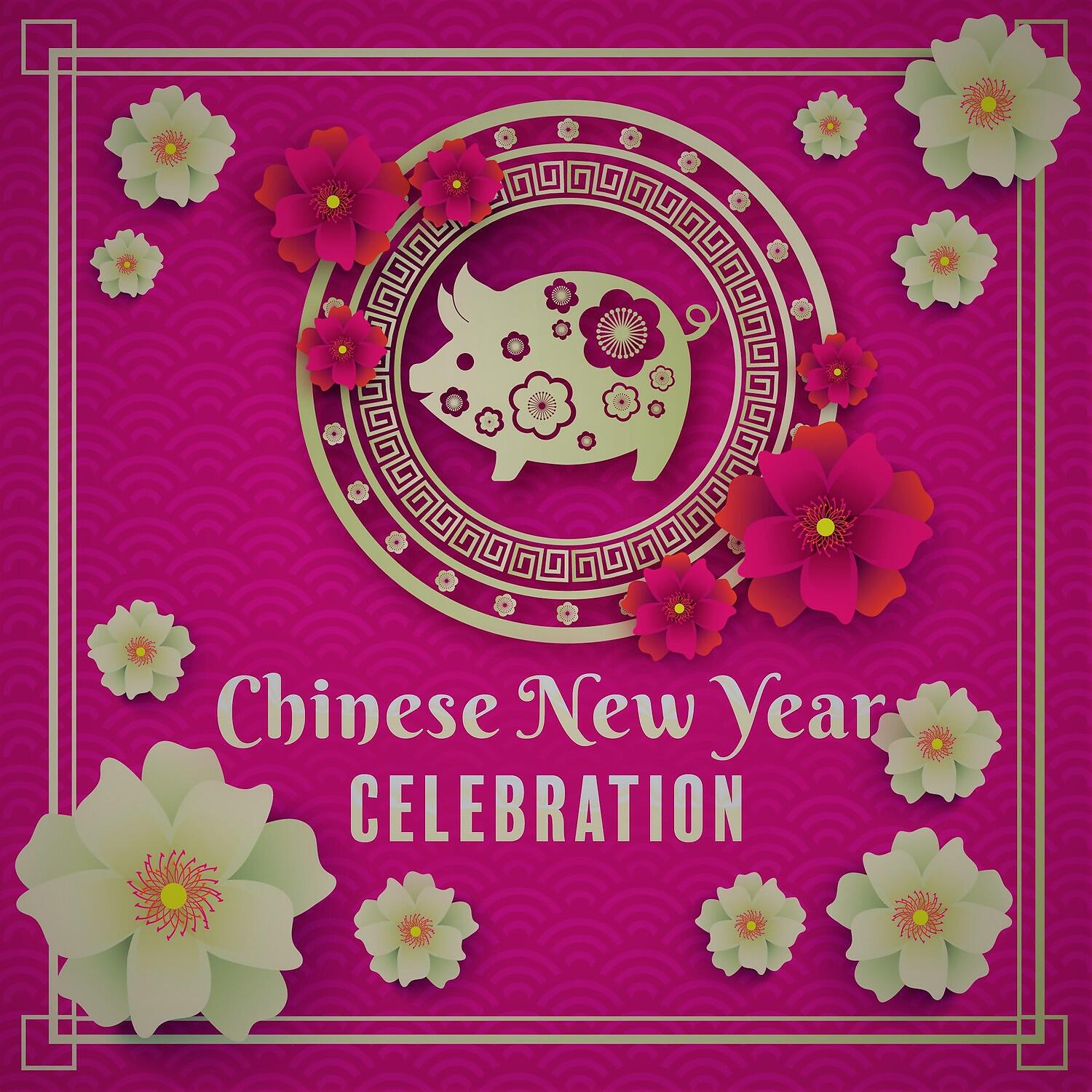 Chinese Yang Qin Relaxation Man - Paper Lantern Festival