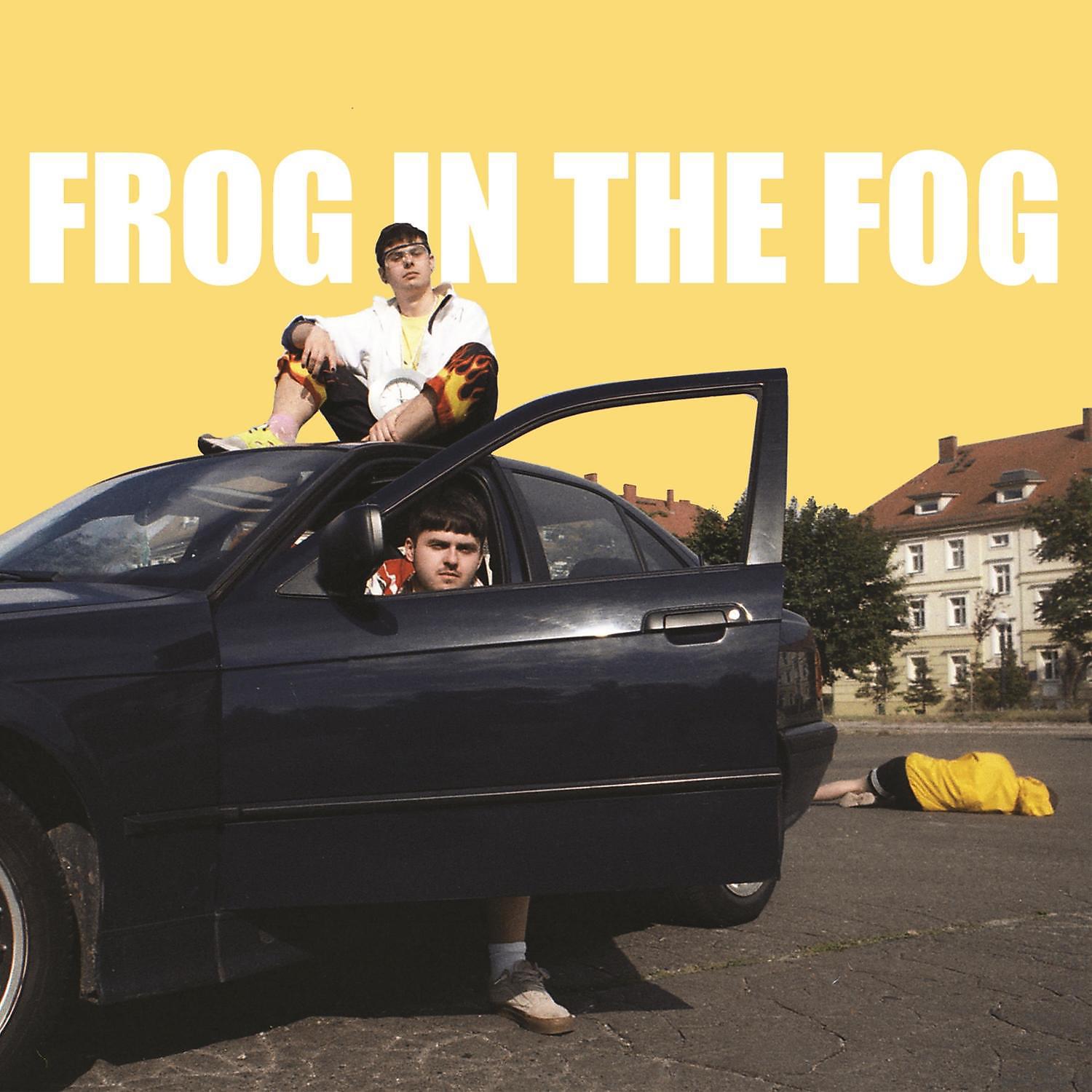Постер альбома Frog in the Fog
