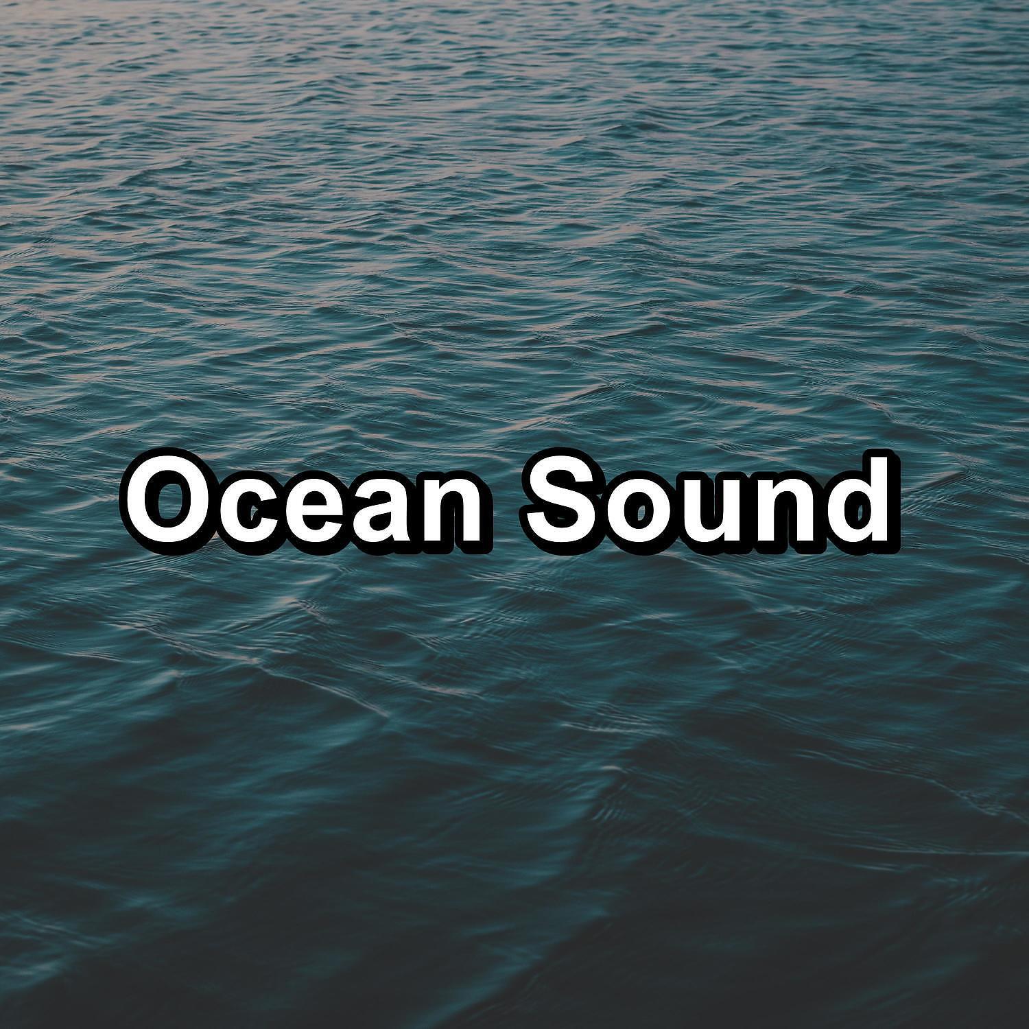 Nature Sound Collection - Ocean SoundsFor Deep Sleep With Nature Sounds New Age Music