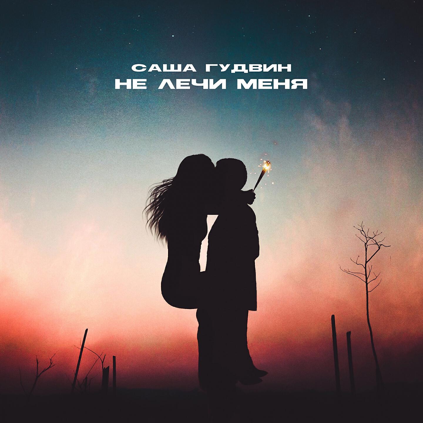 Альбом Не лечи меня исполнителя Саша Гудвин