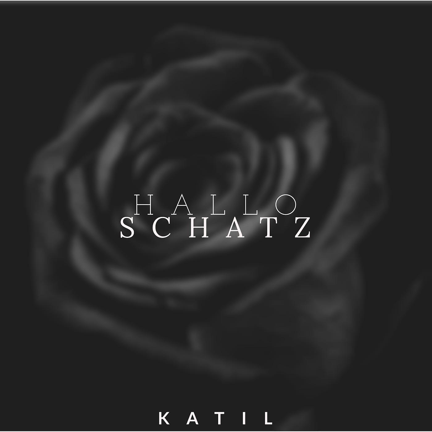 Постер альбома Hallo Schatz
