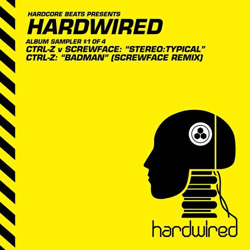 Ctrl-Z - Stereo:typical (Original Mix)