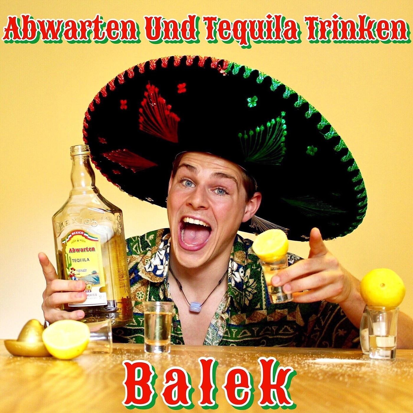 Постер альбома Abwarten Und Tequila Trinken