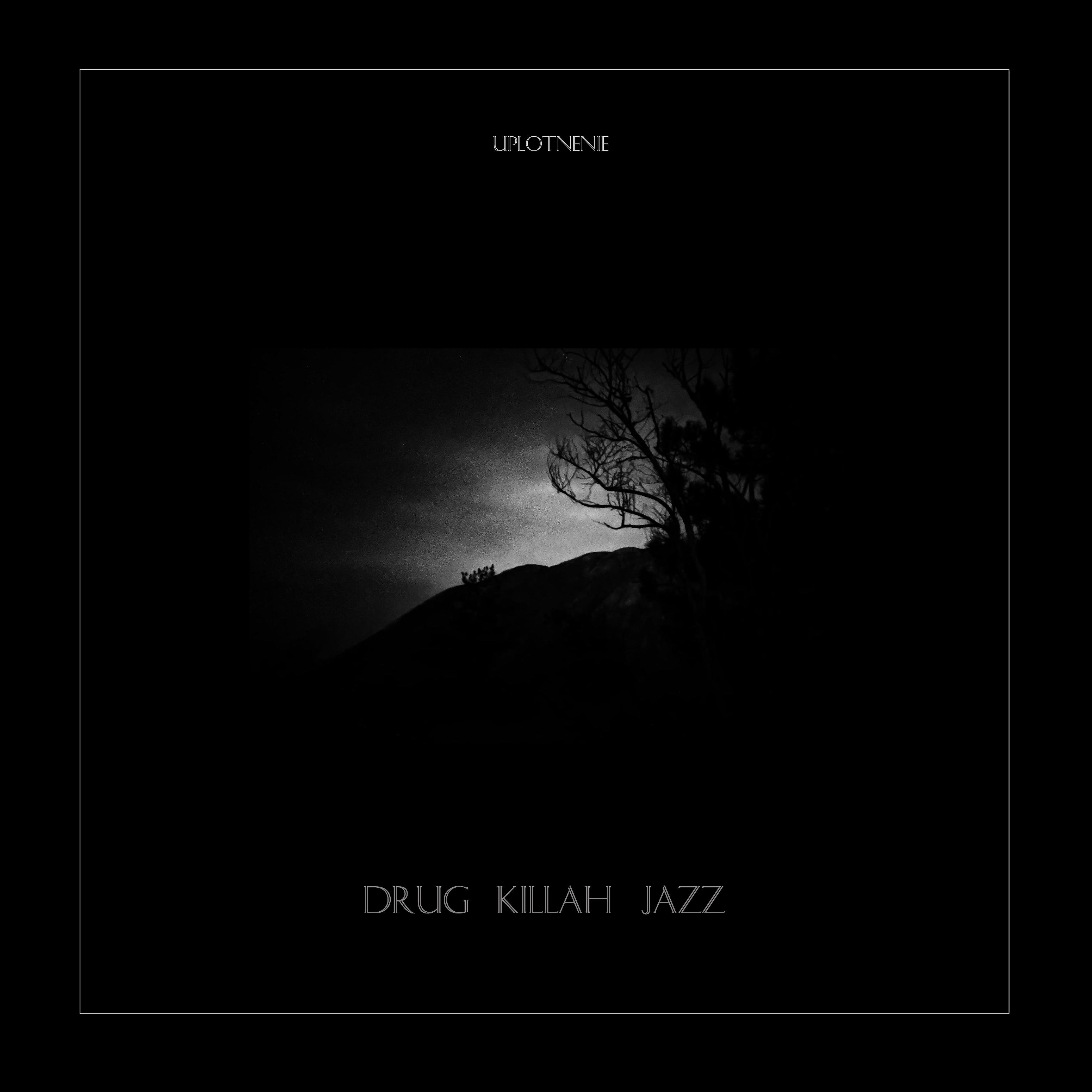 Постер альбома Drug Killah Jazz