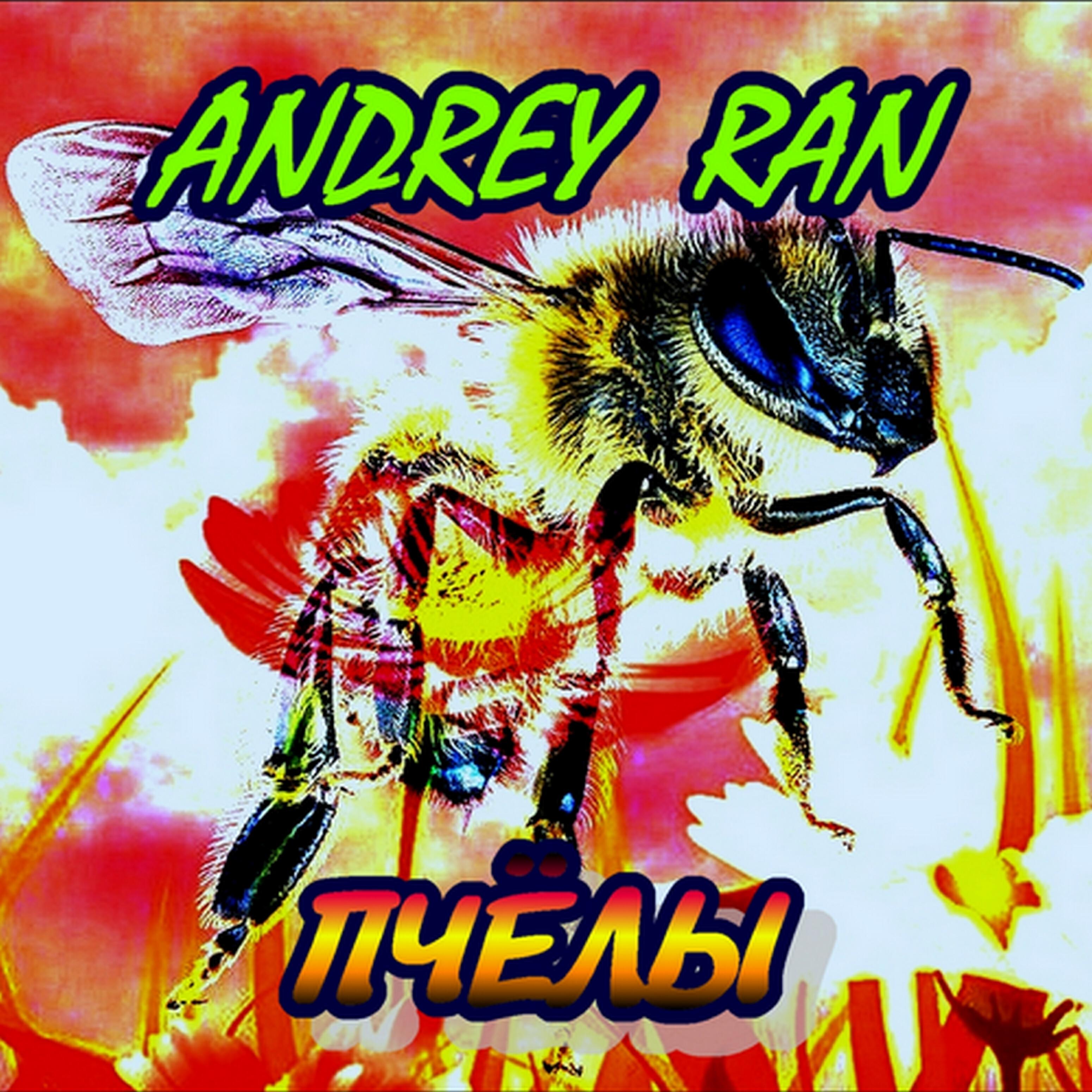 Andrey Ran - Пчёлы