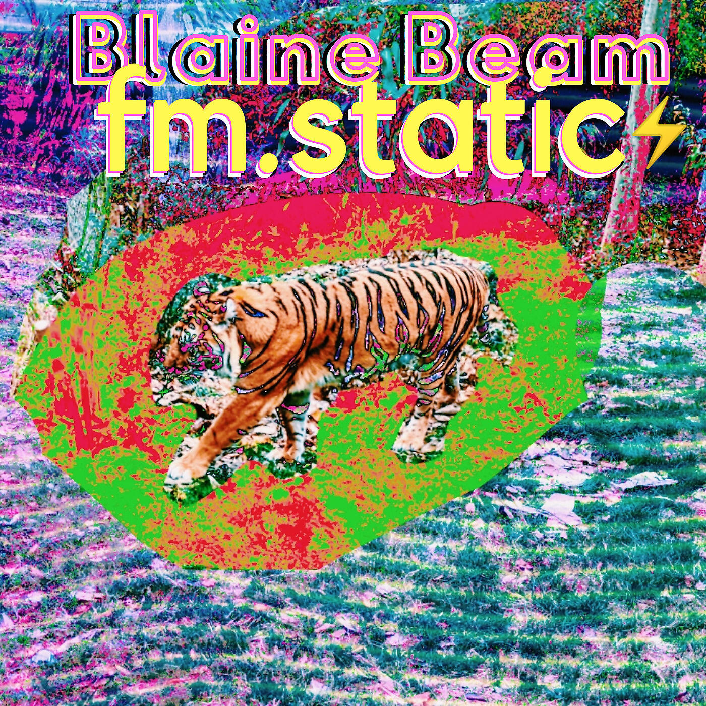 Blaine Beam - Fm.Static