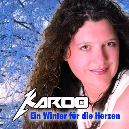 Постер альбома Ein Winter für die Herzen