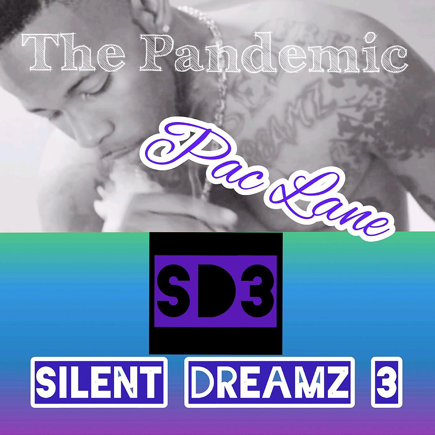 Постер альбома Silent Dreamz 3