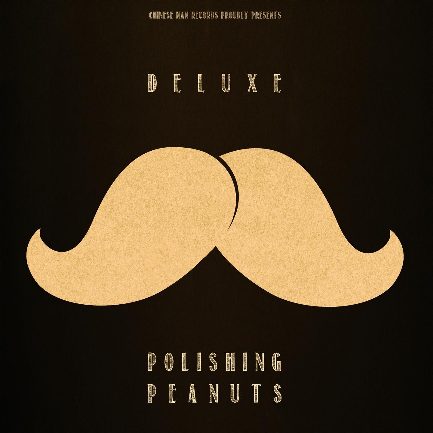 Постер альбома Polishing Peanuts EP