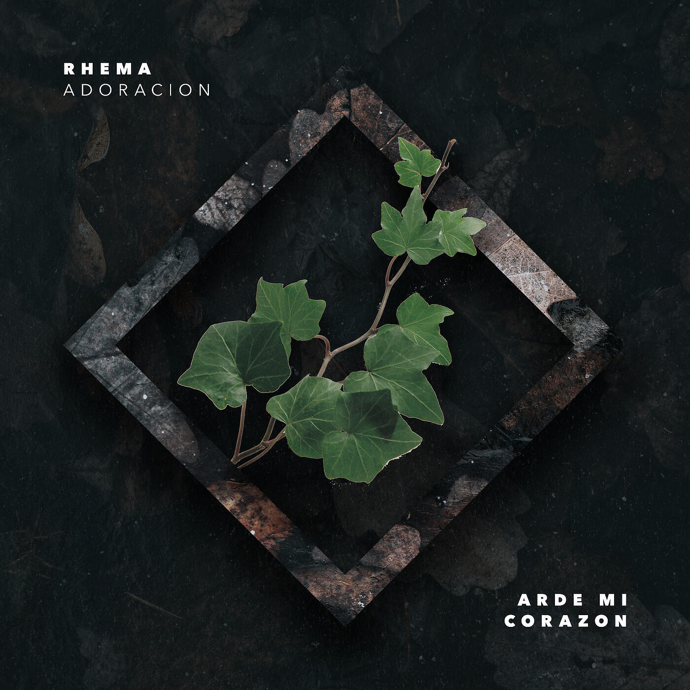 Rhema Adoracion - Arde Mi Corazon