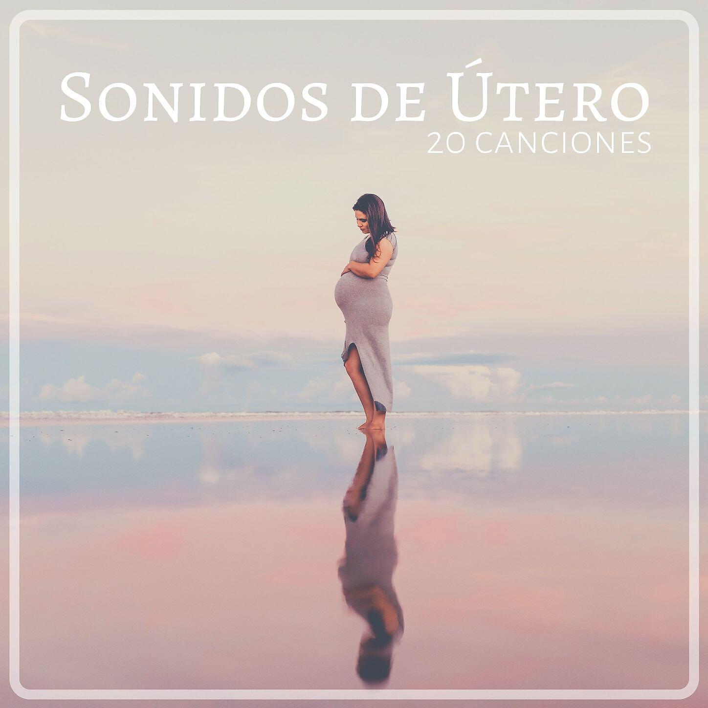 Musica para Bebes Especialistas - Fuente de Relajación