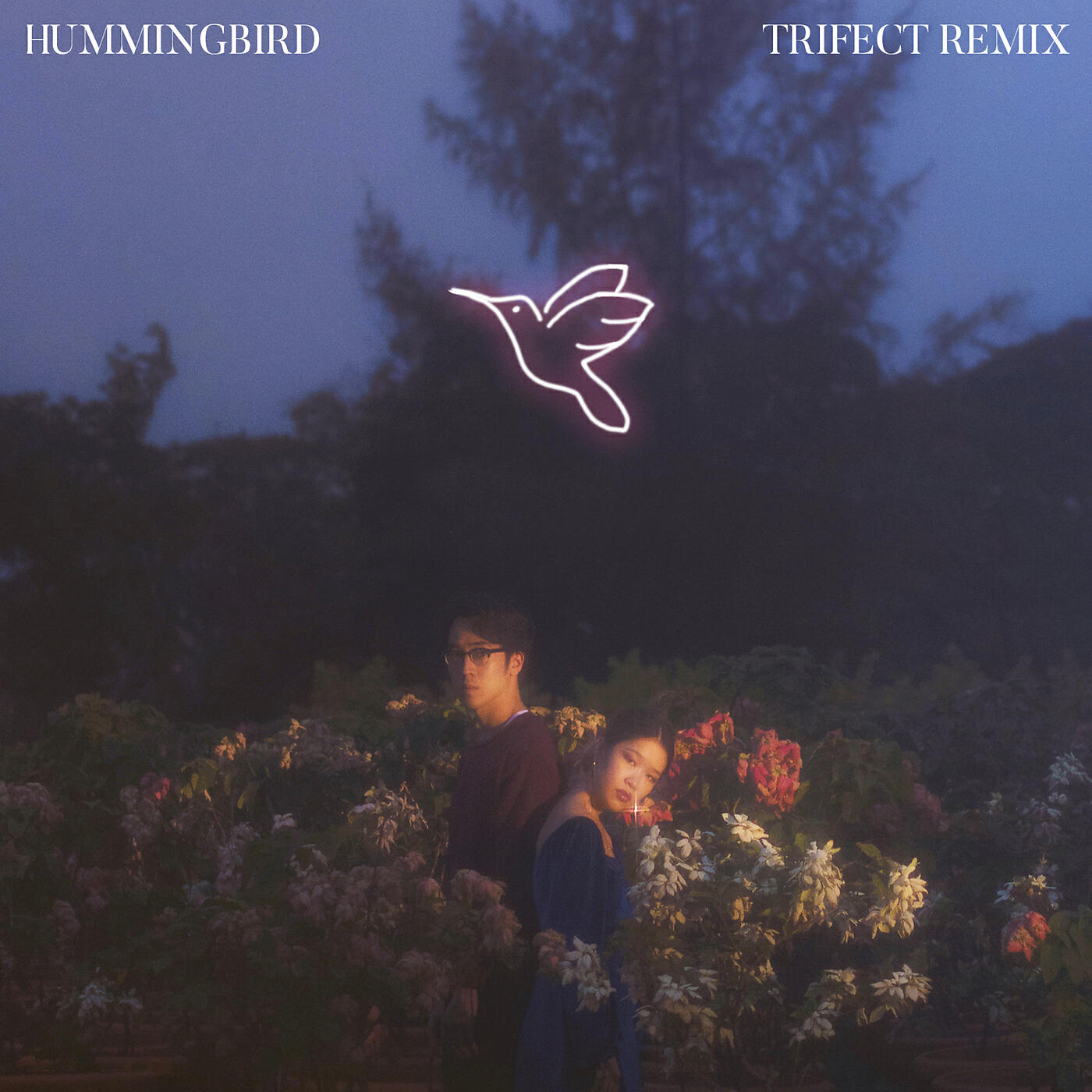 Charlie Lim - Hummingbird (Trifect Remix)