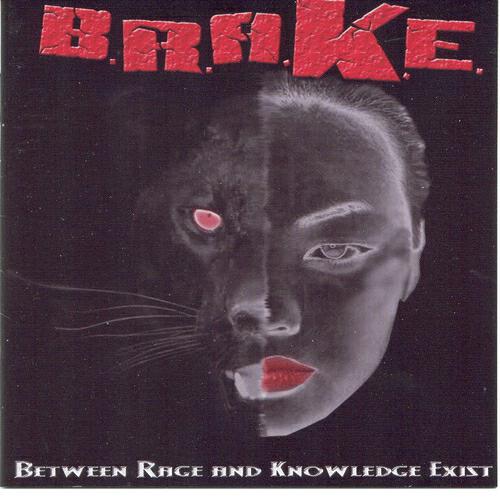B.R.A.K.E. - My Friend My Enemy