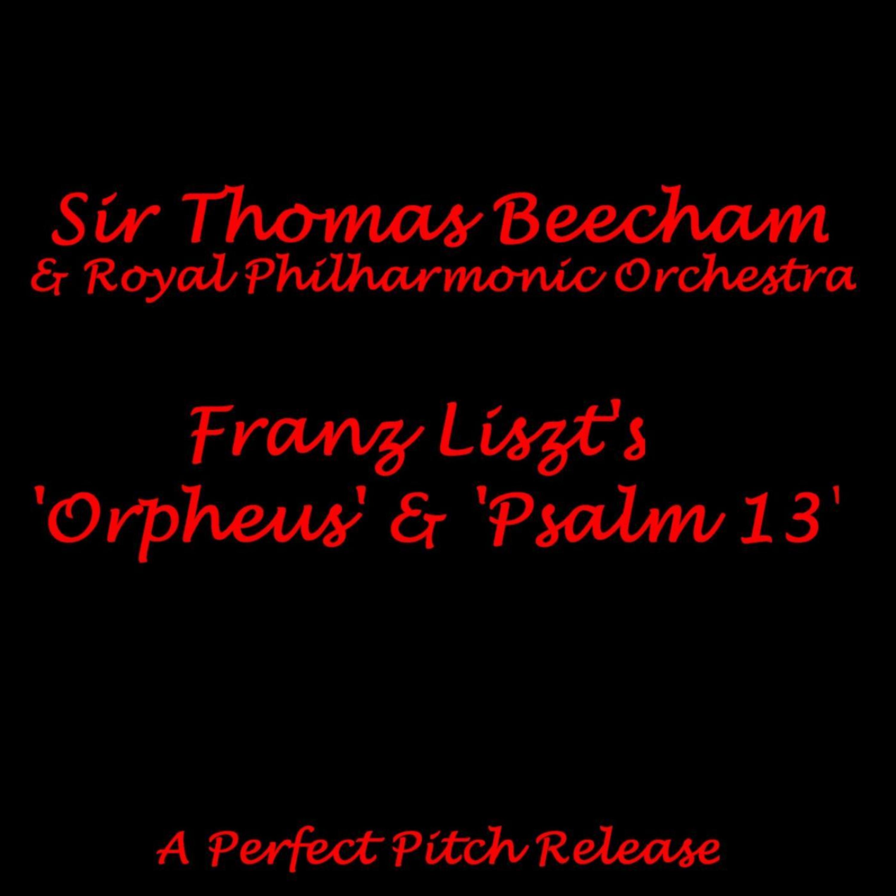 Постер альбома Liszt's 'Orpheus & Psalm 13'