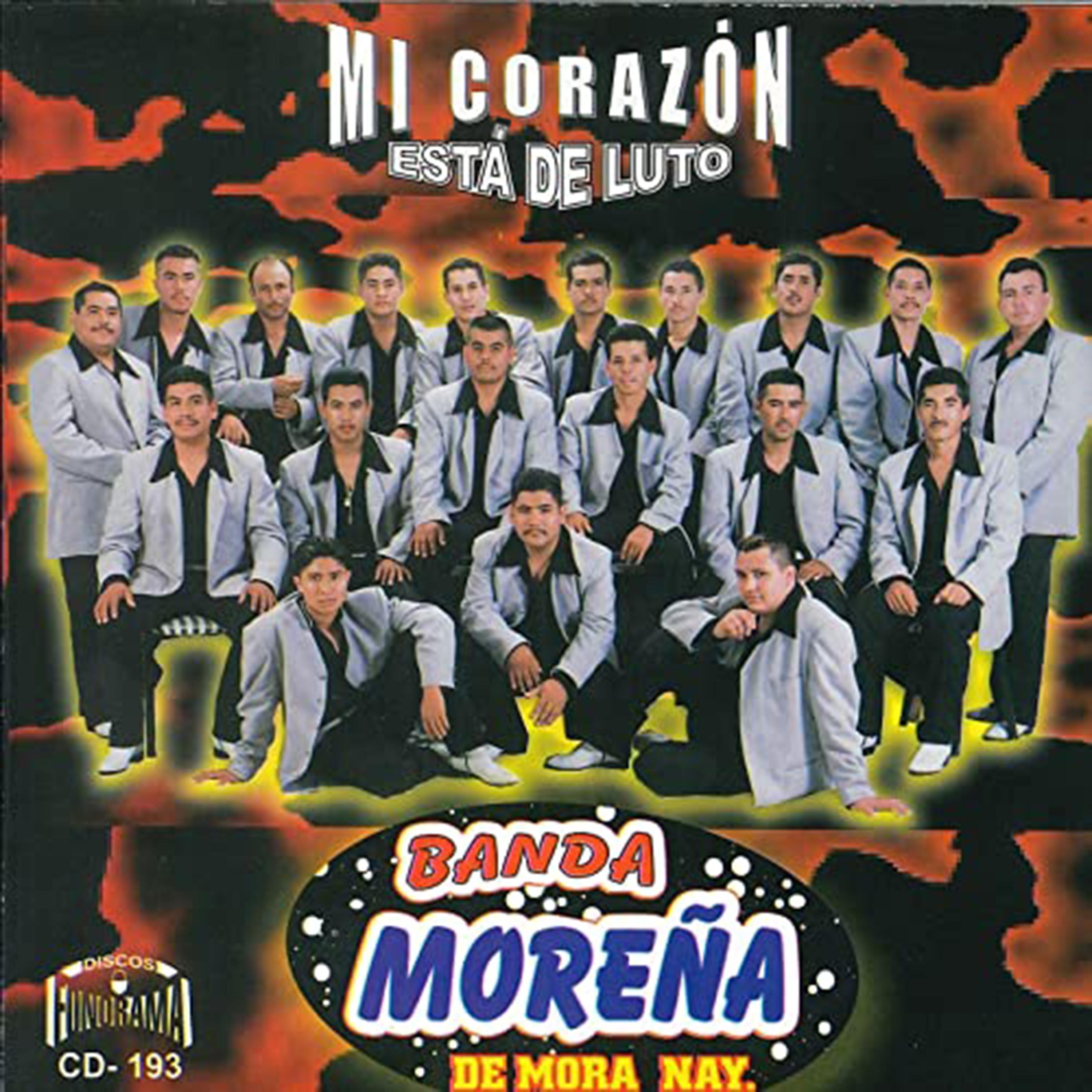 Постер альбома Mi Corazón Está de Luto