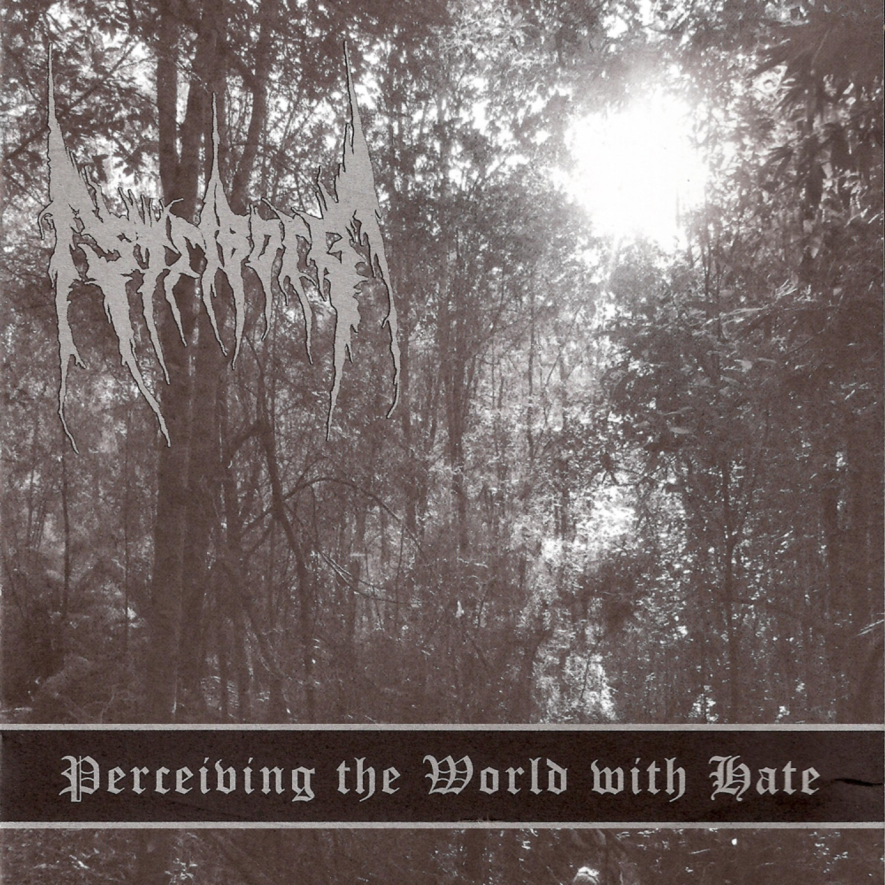 Постер альбома Perceiving the World With Hate