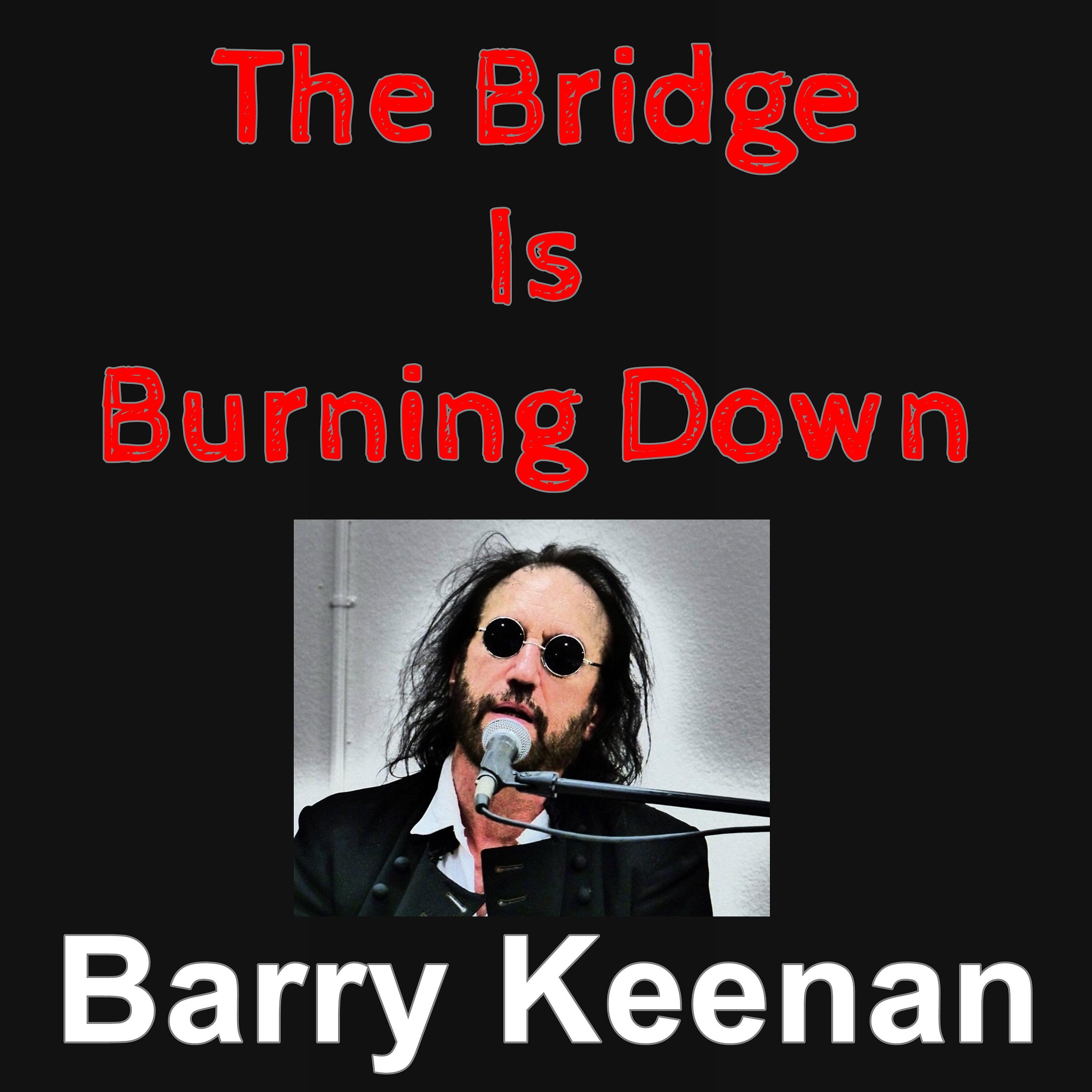 Постер альбома The Bridge is Buring Down