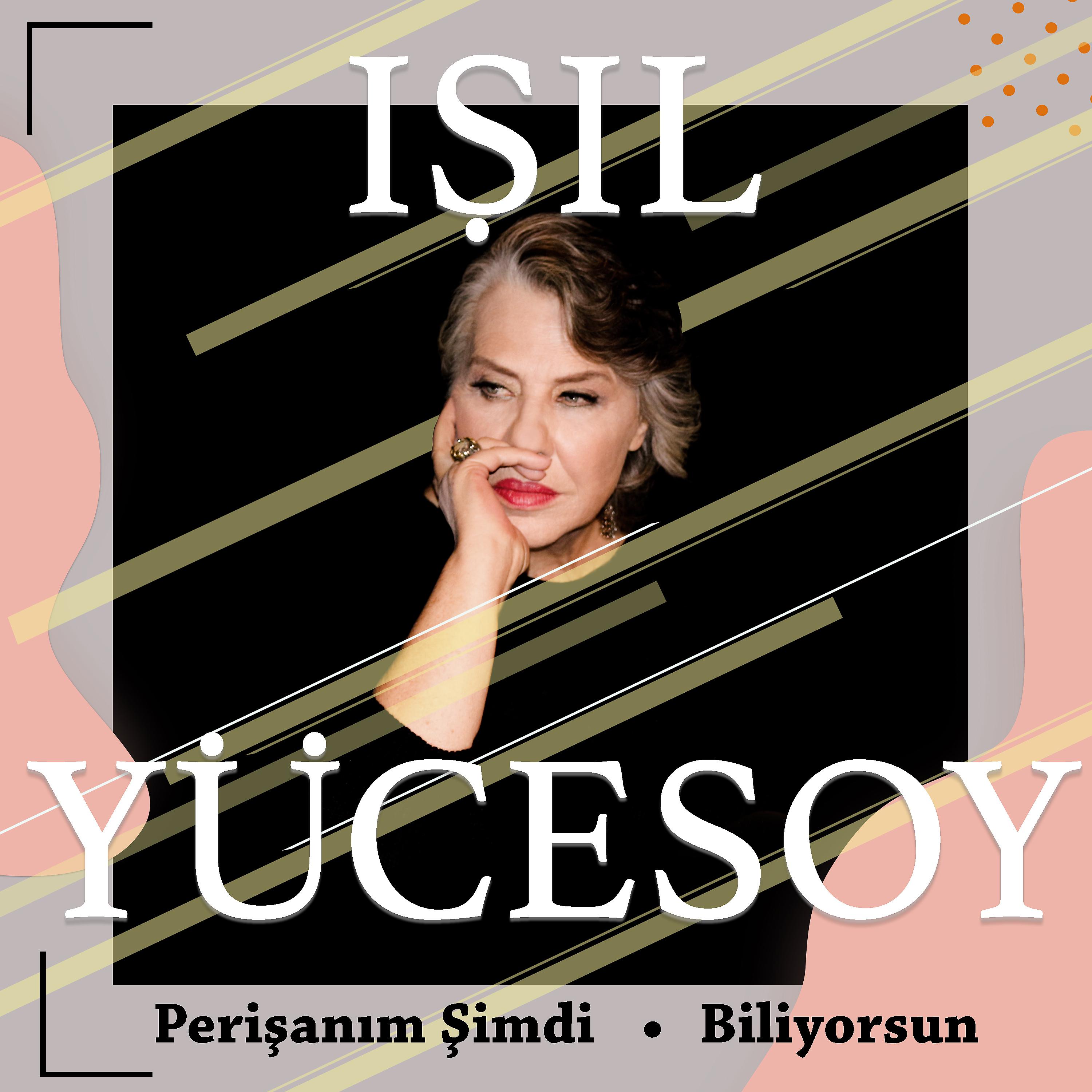 Постер альбома Perişanım Şimdi / Biliyorsun