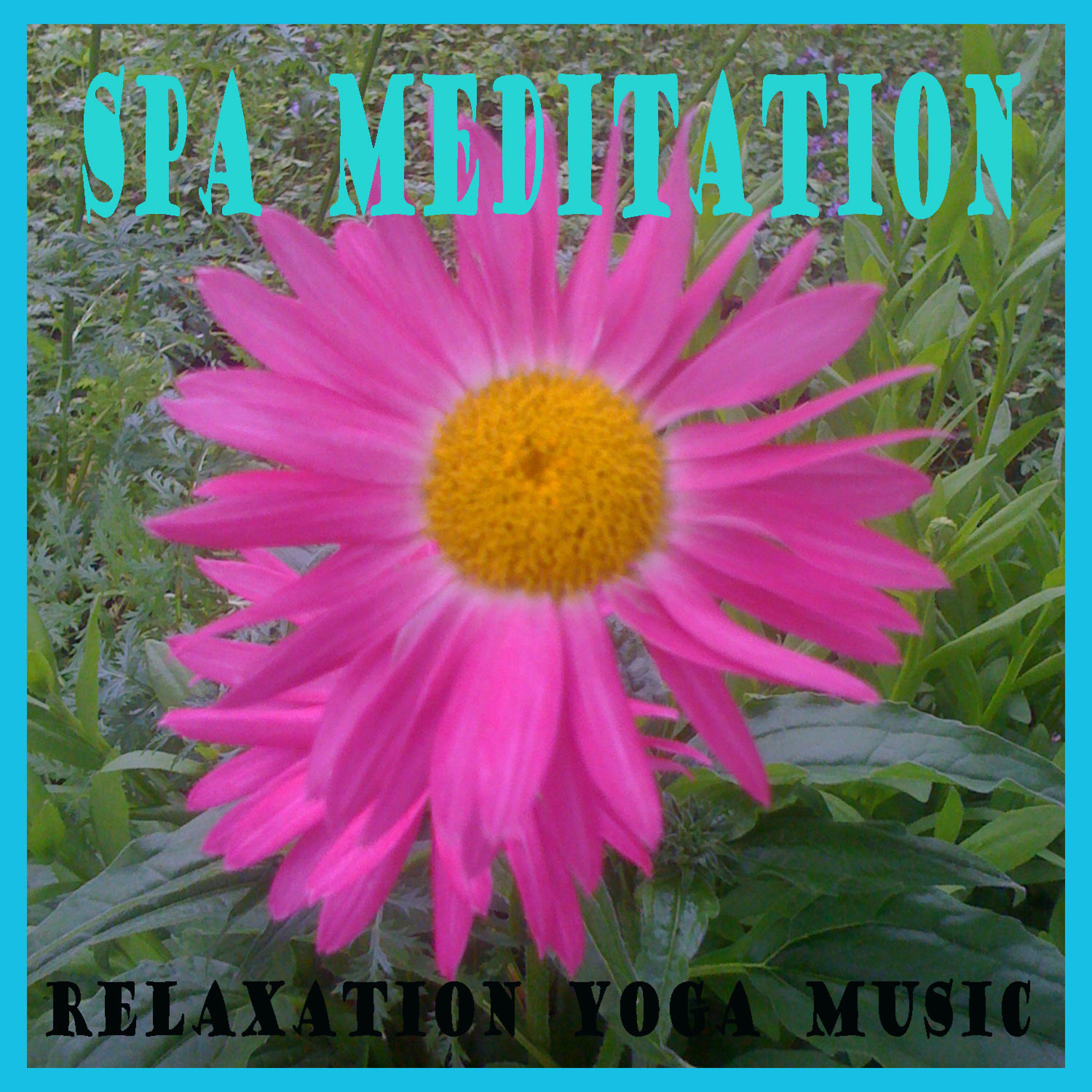 Постер альбома Spa meditation yoga therapy healing relaxation mantra
