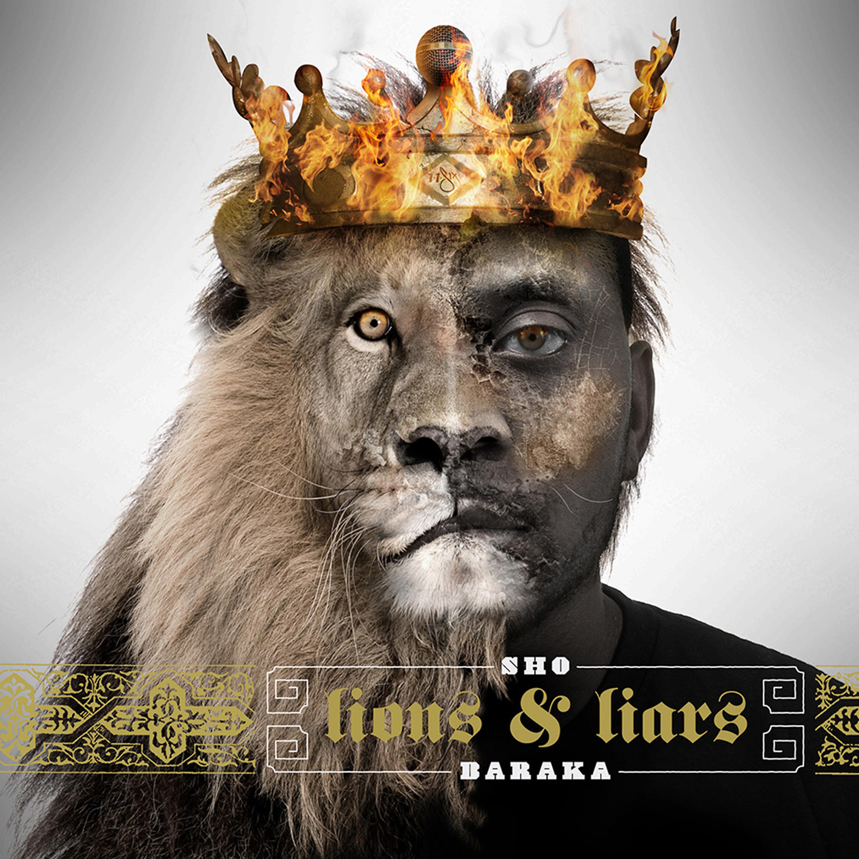 Постер альбома Lions and Liars