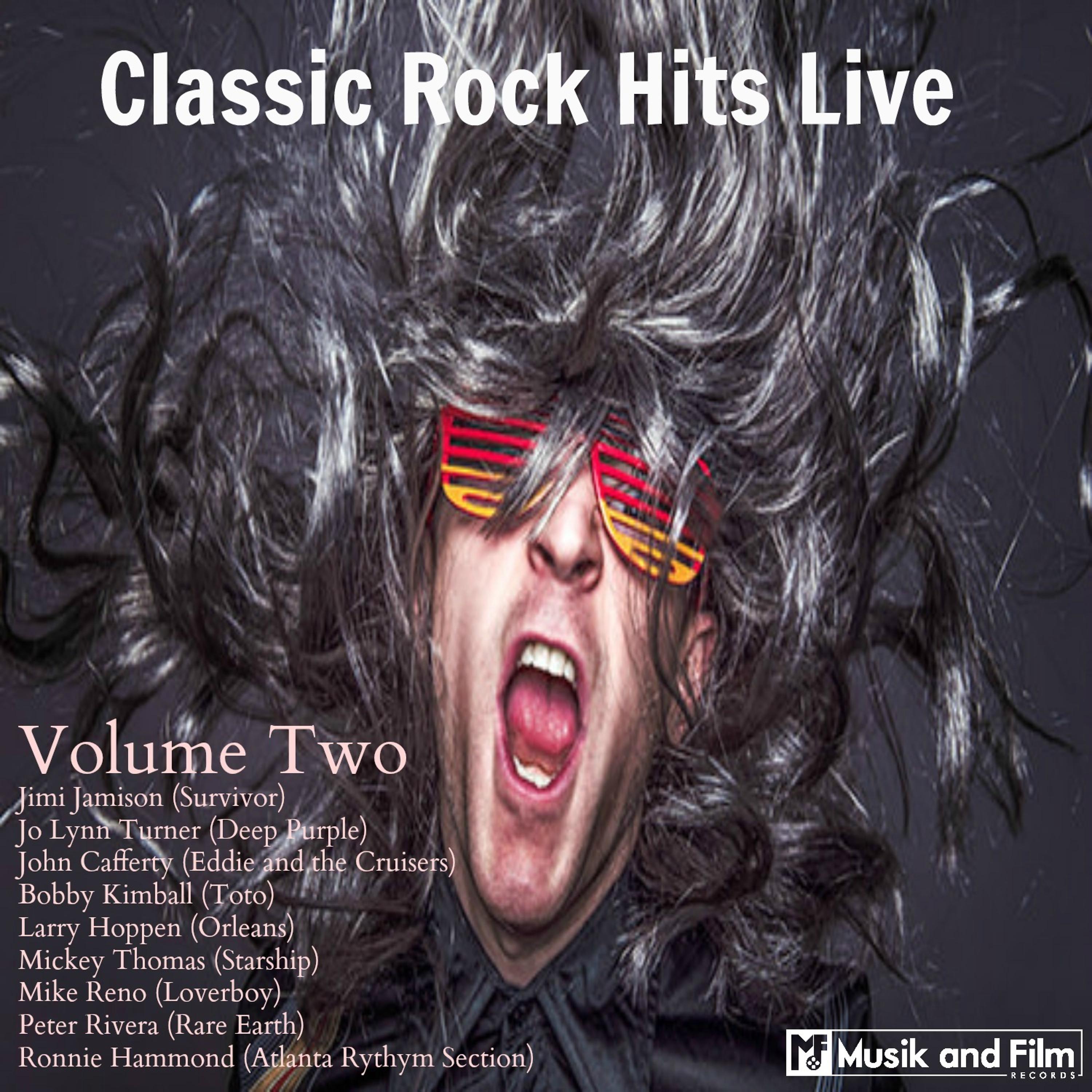 Постер альбома Classic Rock Hits Live, Vol. 2