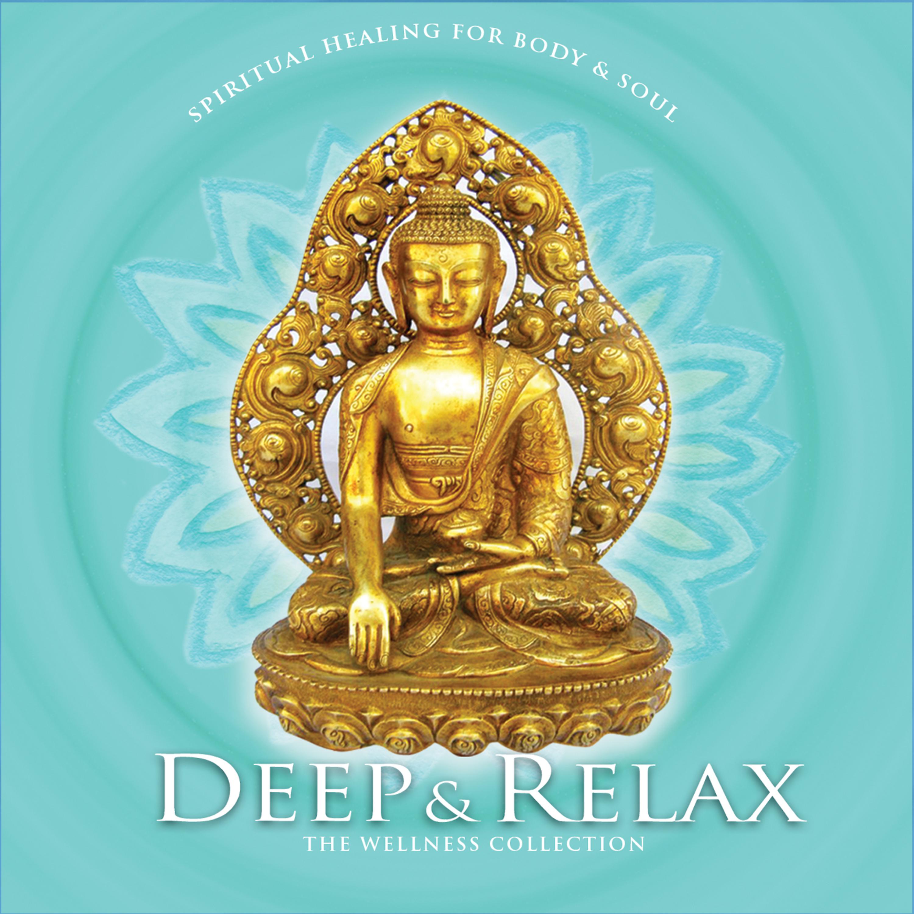 Постер альбома The Wellness Collection: Deep & Relax