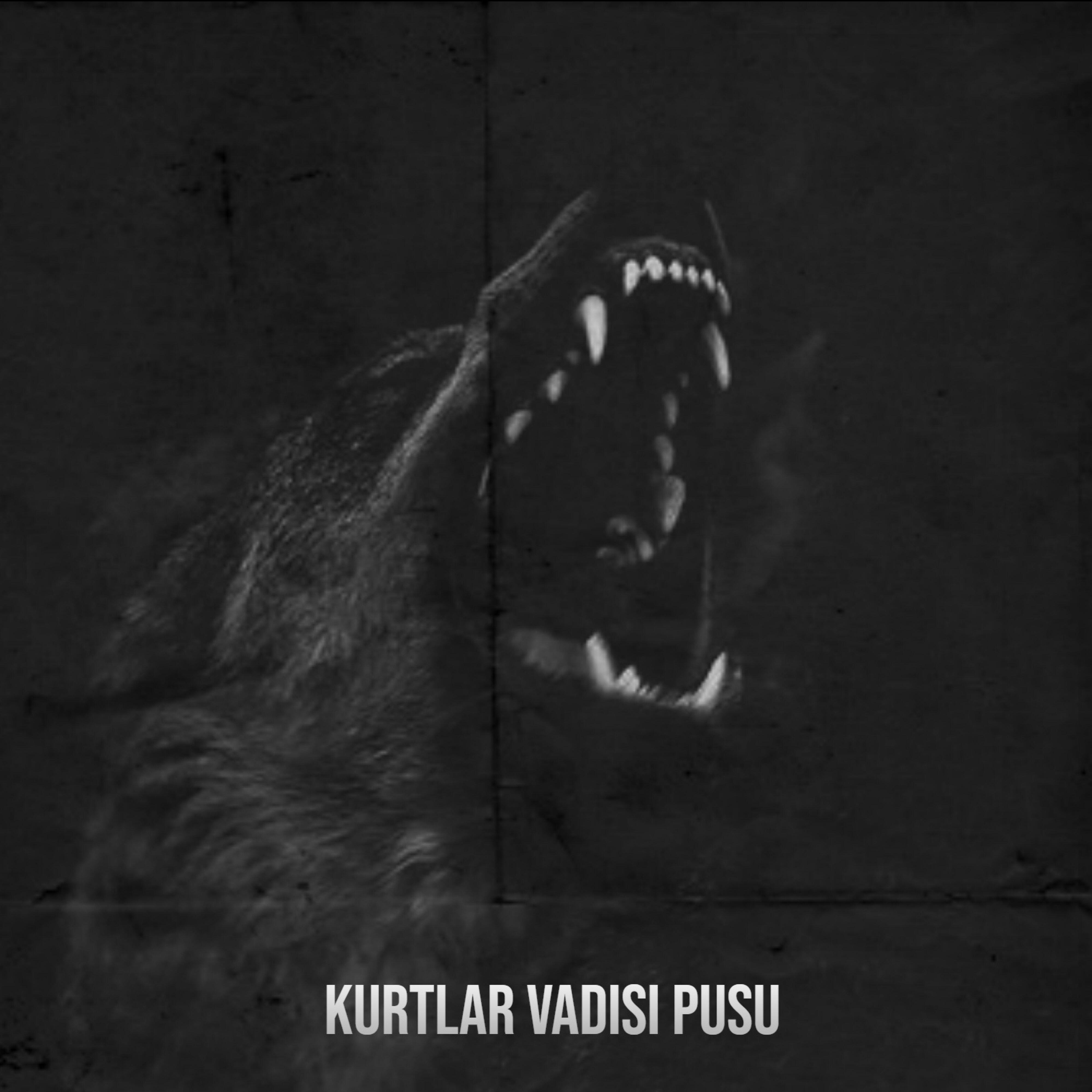 Kurtlar Vadisi - Kurtlar Vadisi Pusu